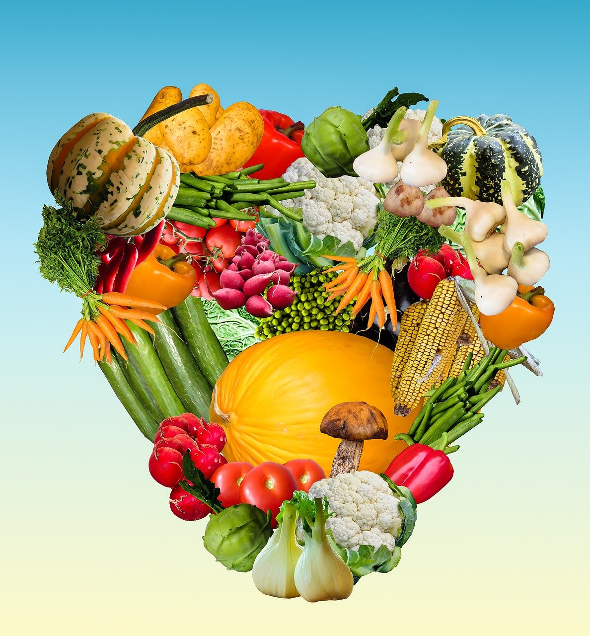 Understanding the Impact of Plant-Based Diets on Cardiovascular Health